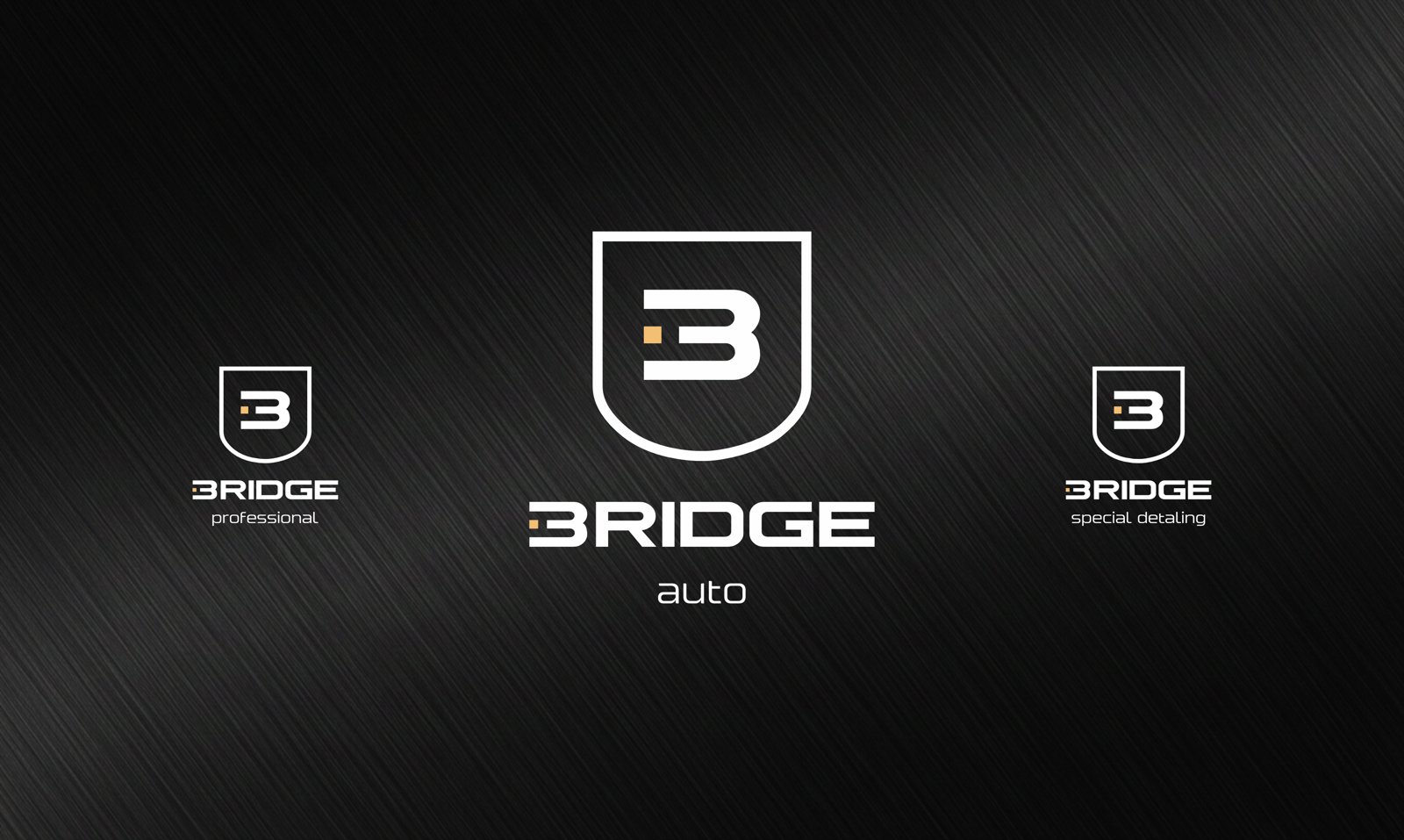 Логотип Bridge и его версии для направлений компании